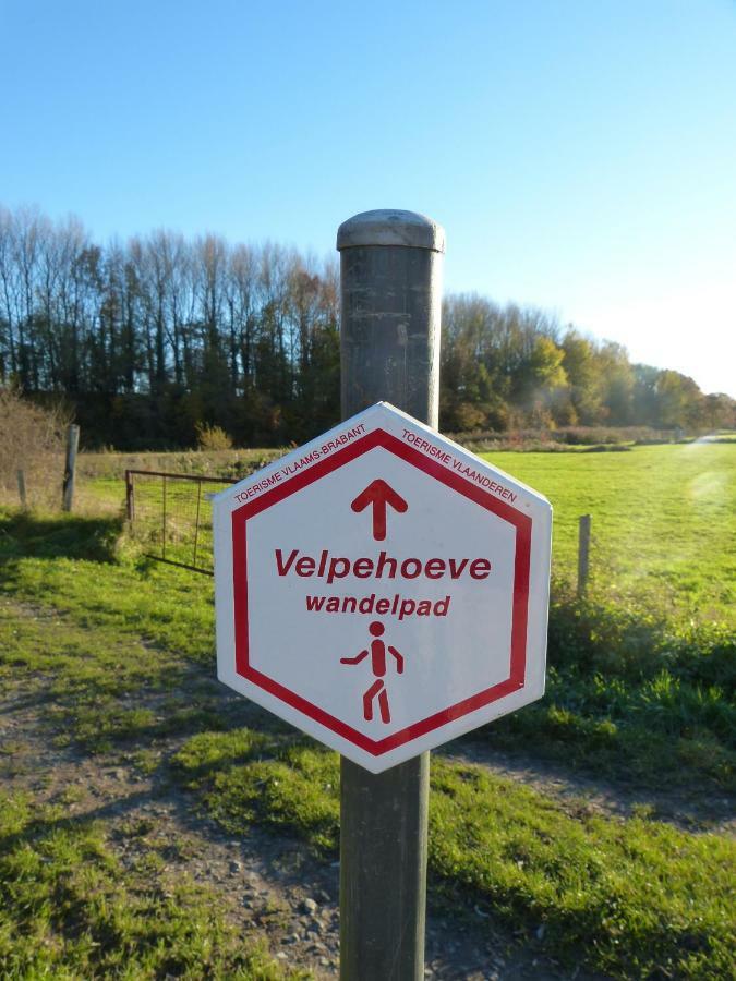 Villa Velpe 55 Bierbeek Exterior foto